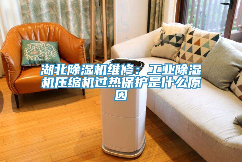 湖北榴莲视频官网APP維修：工業榴莲视频官网APP壓縮機過熱保護是什麽原因