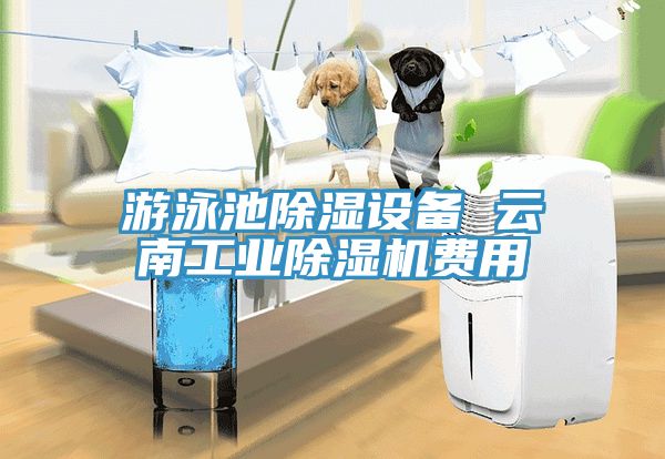 遊泳池除濕設備 雲南工業榴莲视频官网APP費用