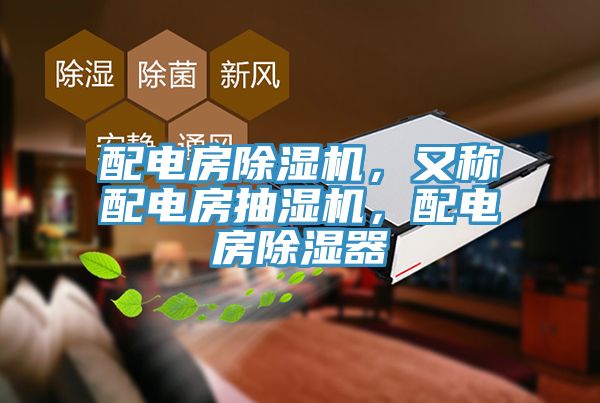 配電房榴莲视频官网APP，又稱配電房抽濕機，配電房除濕器