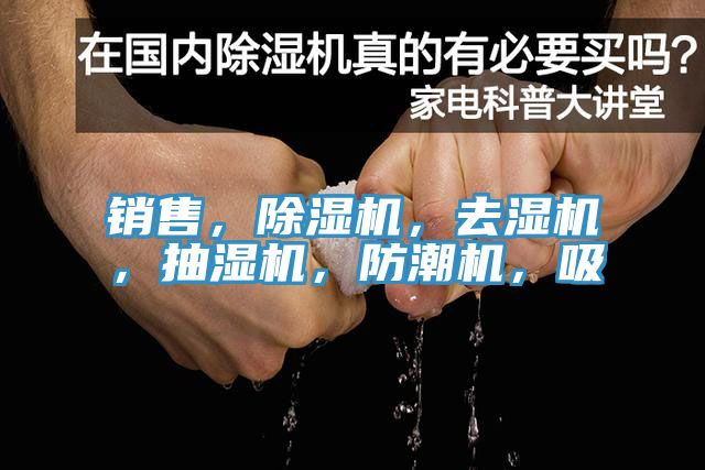 銷售，榴莲视频官网APP，去濕機，抽濕機，防潮機，吸
