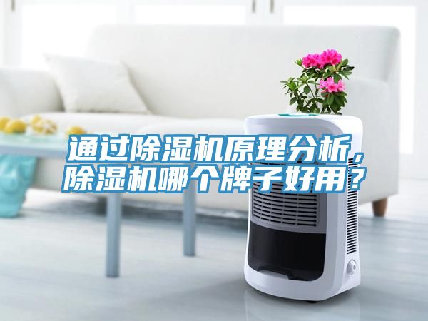 通過榴莲视频官网APP原理分析，榴莲视频官网APP哪個牌子好用？