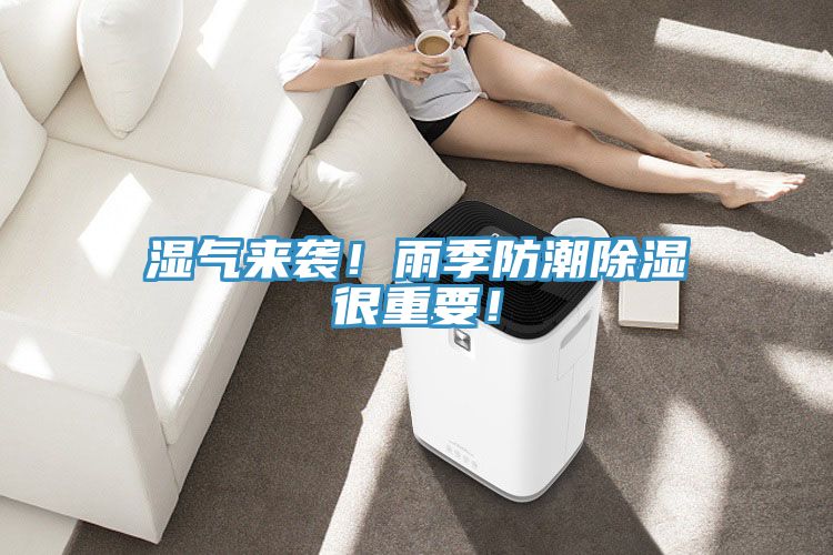 濕氣來襲！雨季防潮除濕很重要！