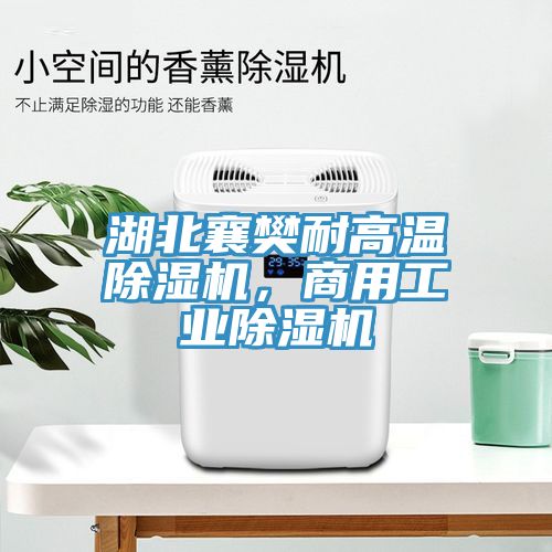 湖北襄樊耐高溫榴莲视频官网APP，商用工業榴莲视频官网APP