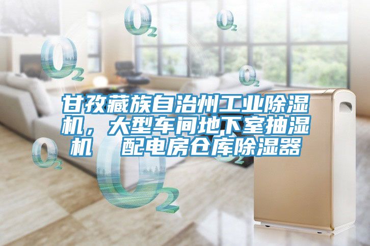 甘孜藏族自治州工業榴莲视频官网APP，大型車間地下室抽濕機  配電房倉庫除濕器