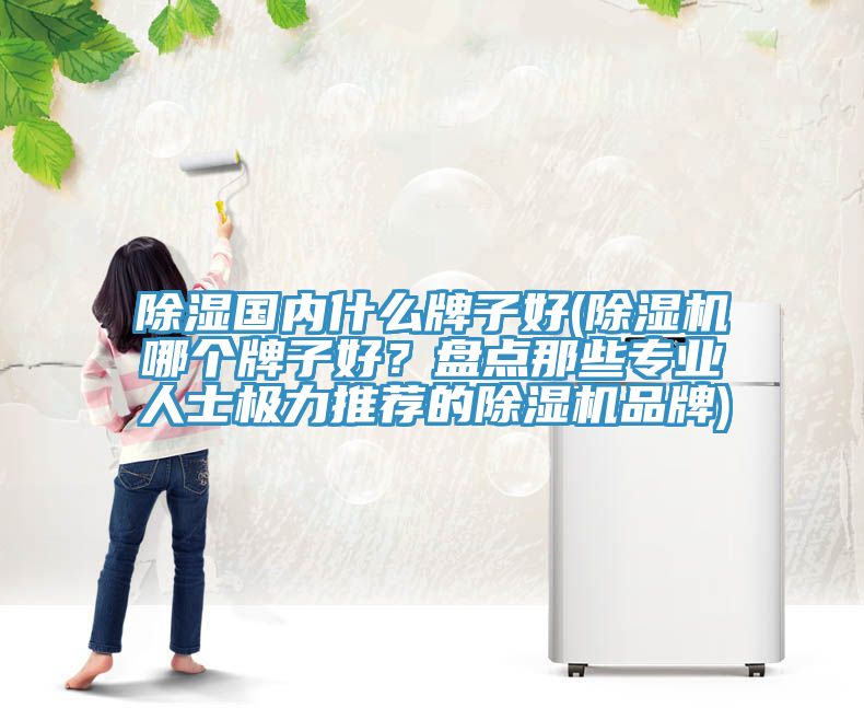 除濕國內什麽牌子好(榴莲视频官网APP哪個牌子好？盤點那些專業人士極力推薦的榴莲视频官网APP品牌)