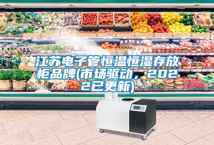 江蘇電子管恒溫恒濕存放櫃品牌(市場驅動，2022已更新)