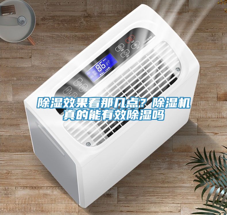 除濕效果看那幾點？榴莲视频官网APP真的能有效除濕嗎