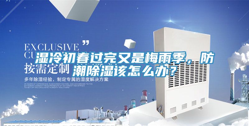 濕冷初春過完又是梅雨季，防潮除濕該怎麽辦？