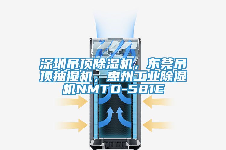 深圳吊頂榴莲视频官网APP，東莞吊頂抽濕機，惠州工業榴莲视频官网APPNMTD-581E