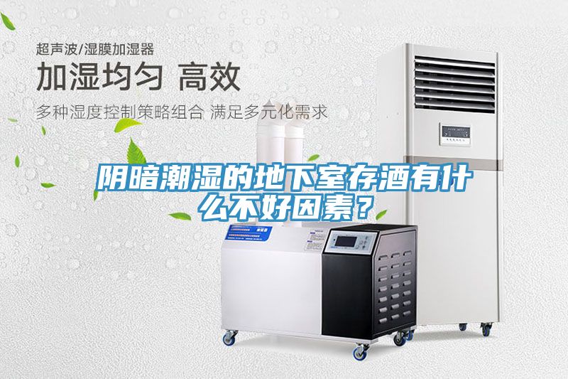 陰暗潮濕的地下室存酒有什麽不好因素？
