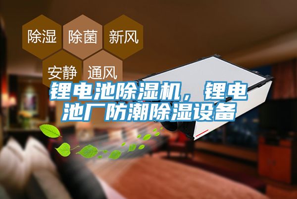 鋰電池榴莲视频官网APP，鋰電池廠防潮除濕設備