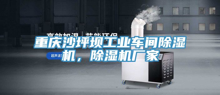 重慶沙坪壩工業車間榴莲视频官网APP，榴莲视频官网APP廠家