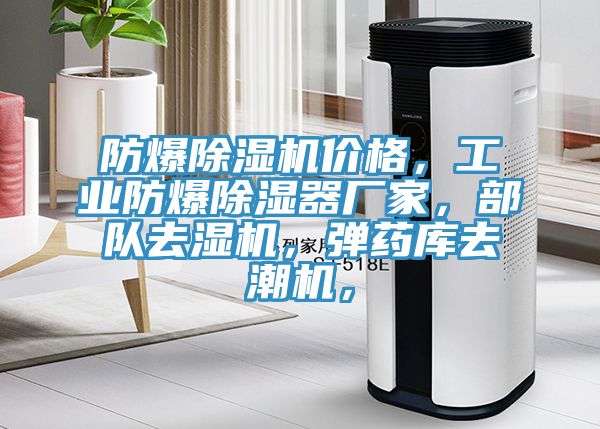防爆榴莲视频官网APP價格，工業防爆除濕器廠家，部隊去濕機，彈藥庫去潮機，