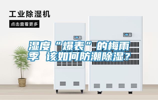 濕度“爆表”的梅雨季 該如何防潮除濕？