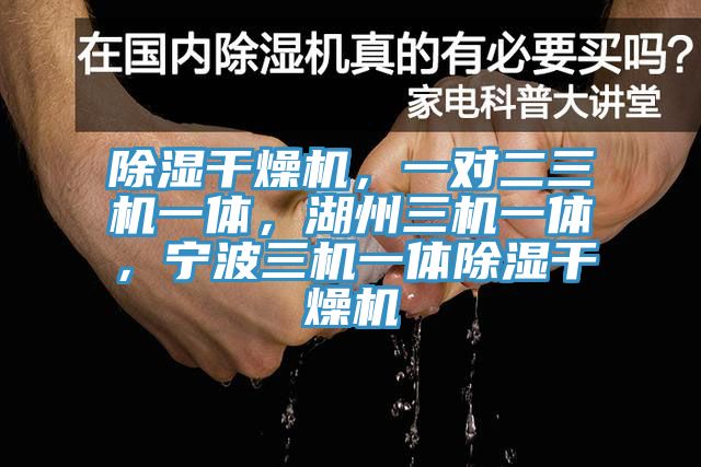 除濕幹燥機，一對二三機一體，湖州三機一體，寧波三機一體除濕幹燥機