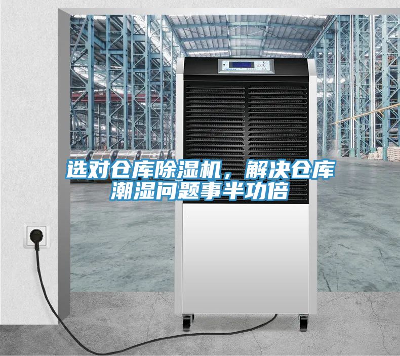 選對倉庫榴莲视频官网APP，解決倉庫潮濕問題事半功倍