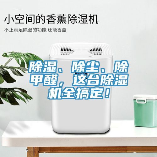 除濕、除塵、除甲醛，這台榴莲视频官网APP全搞定！