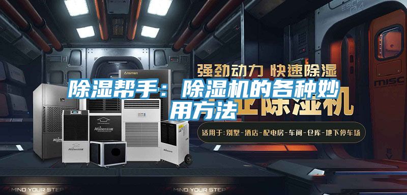 除濕幫手：榴莲视频官网APP的各種妙用方法