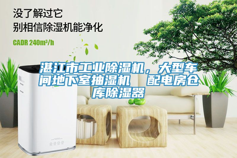 湛江市工業榴莲视频官网APP，大型車間地下室抽濕機  配電房倉庫除濕器