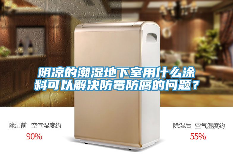 陰涼的潮濕地下室用什麽塗料可以解決防黴防腐的問題？