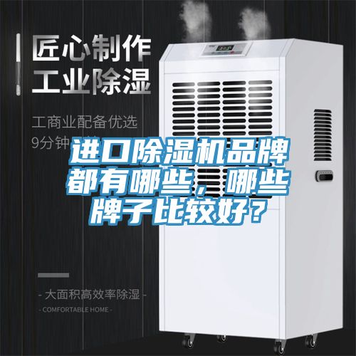 進口榴莲视频官网APP品牌都有哪些，哪些牌子比較好？