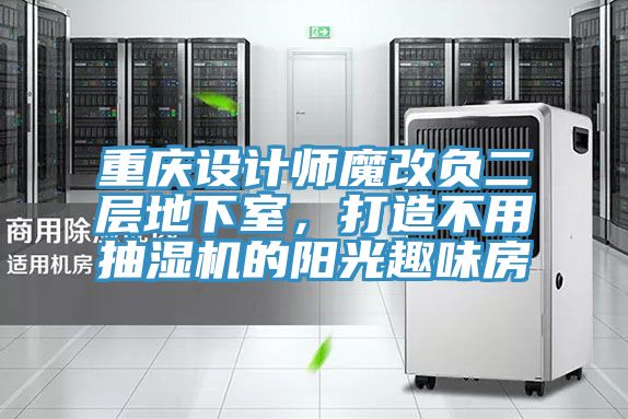 重慶設計師魔改負二層地下室，打造不用抽濕機的陽光趣味房