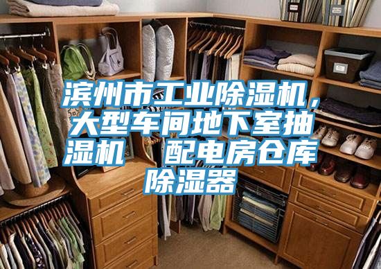 濱州市工業榴莲视频官网APP，大型車間地下室抽濕機  配電房倉庫除濕器