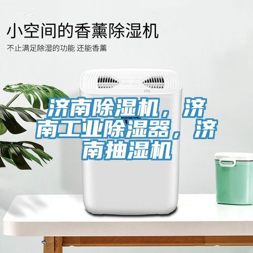 濟南榴莲视频官网APP，濟南工業除濕器，濟南抽濕機