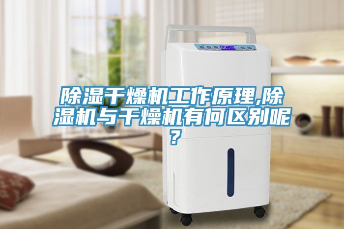 除濕幹燥機工作原理,榴莲视频官网APP與幹燥機有何區別呢？