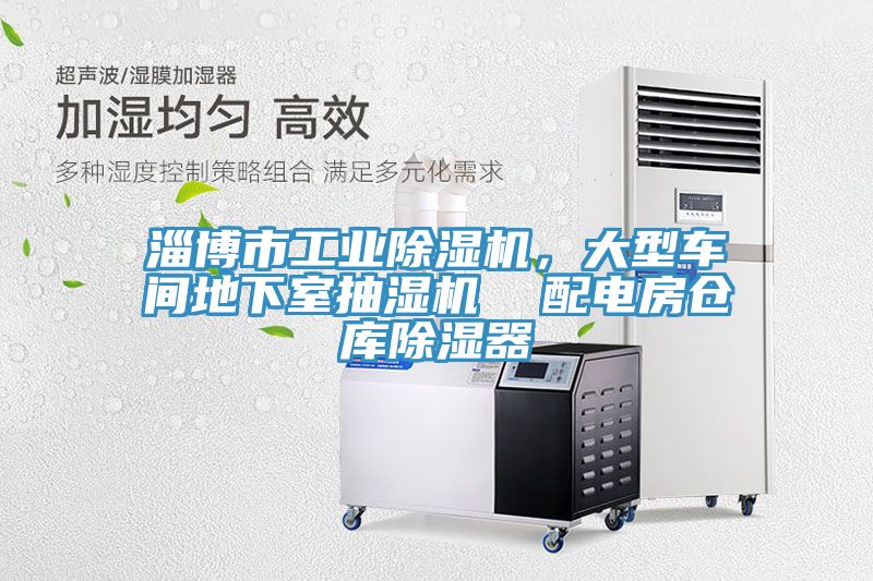 淄博市工業榴莲视频官网APP，大型車間地下室抽濕機  配電房倉庫除濕器