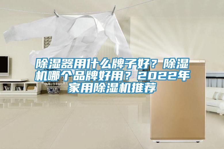 除濕器用什麽牌子好？榴莲视频官网APP哪個品牌好用？2022年家用榴莲视频官网APP推薦