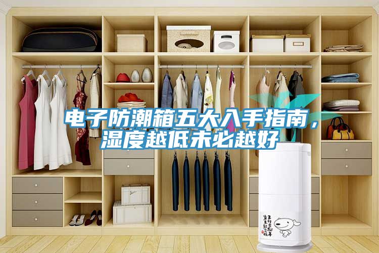 電子防潮箱五大入手指南，濕度越低未必越好