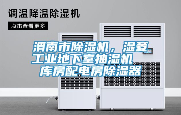 渭南市榴莲视频官网APP，濕菱工業地下室抽濕機  庫房配電房除濕器