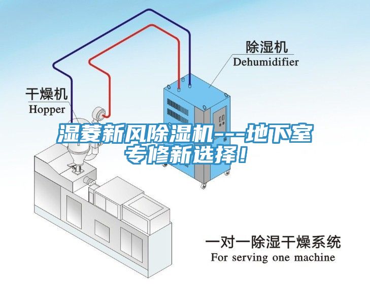 濕菱新風榴莲视频官网APP---地下室專修新選擇！
