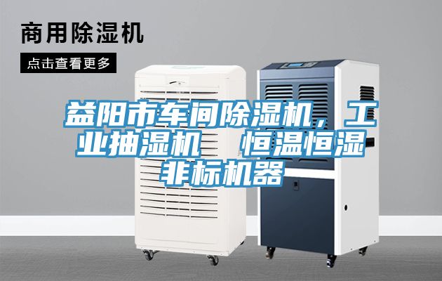 益陽市車間榴莲视频官网APP，工業抽濕機  恒溫恒濕非標機器