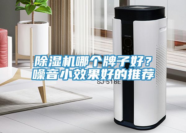 榴莲视频官网APP哪個牌子好？噪音小效果好的推薦