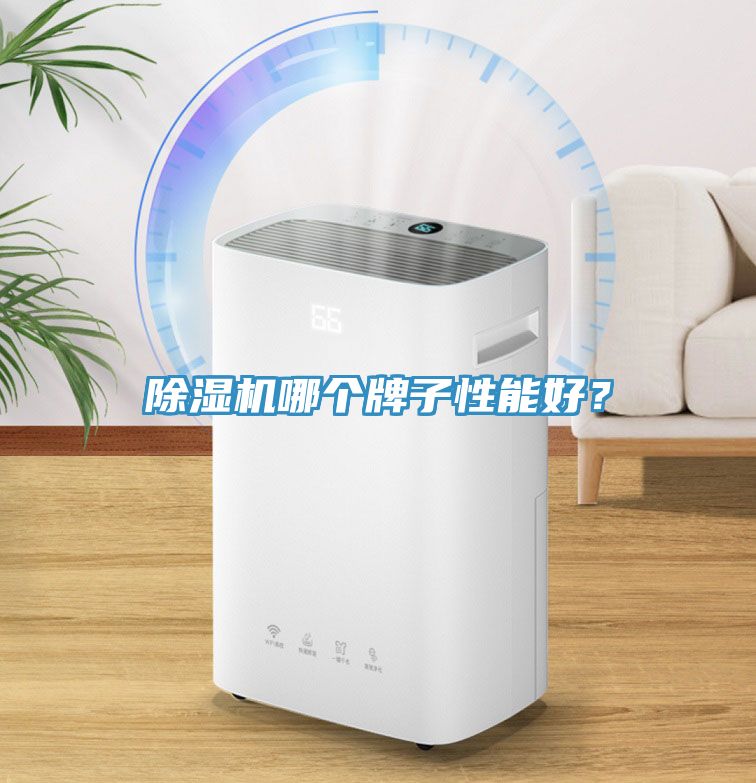 榴莲视频官网APP哪個牌子性能好？