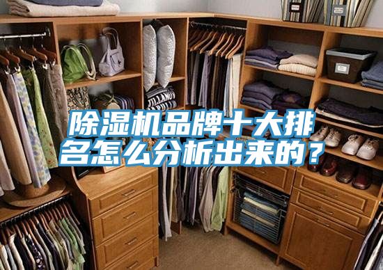 榴莲视频官网APP品牌十大排名怎麽分析出來的？