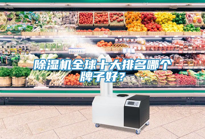 榴莲视频官网APP全球十大排名哪個牌子好？