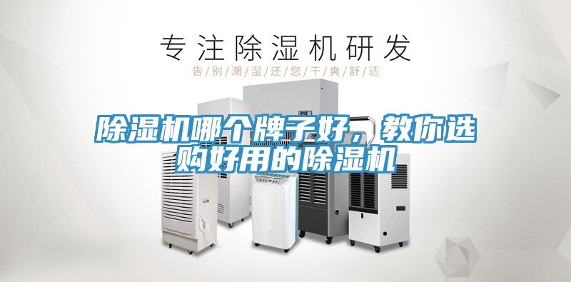榴莲视频官网APP哪個牌子好，教你選購好用的榴莲视频官网APP