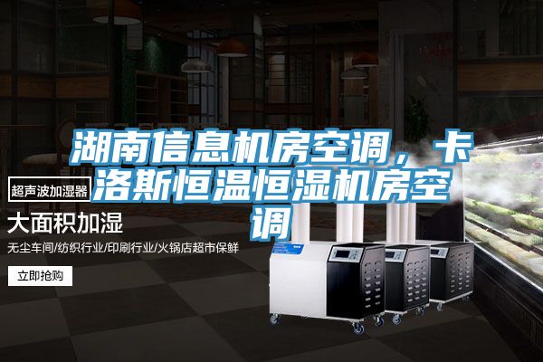 湖南信息機房空調，卡洛斯恒溫恒濕機房空調