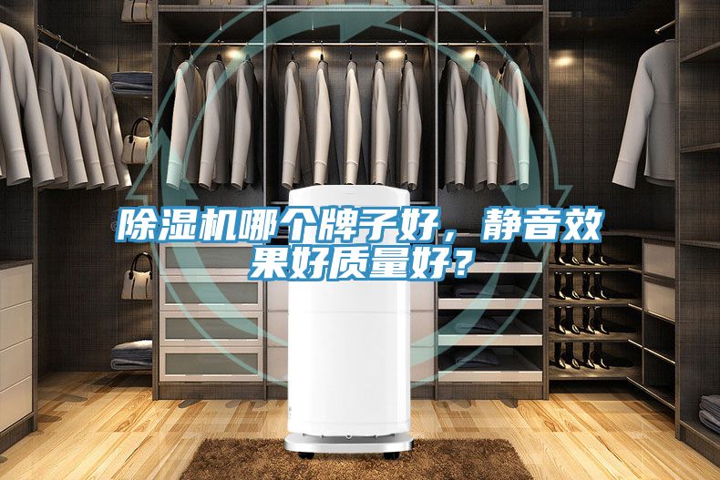榴莲视频官网APP哪個牌子好，靜音效果好質量好？