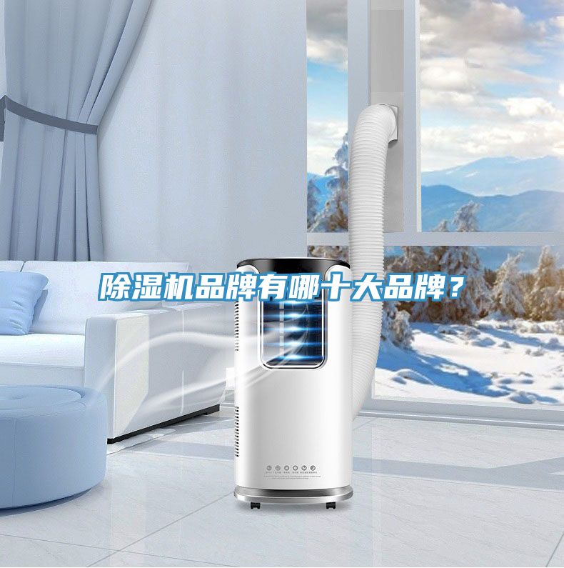 榴莲视频官网APP品牌有哪十大品牌？