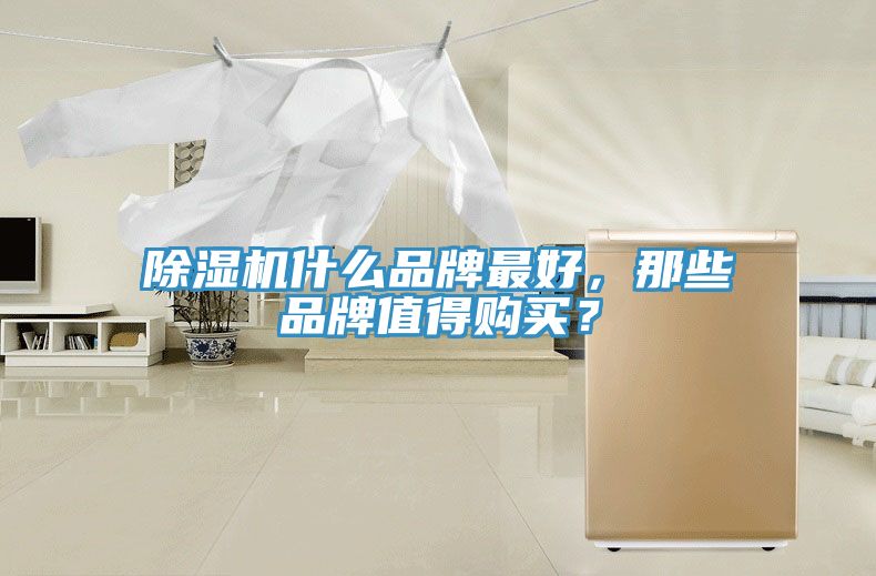 榴莲视频官网APP什麽品牌最好，那些品牌值得購買？