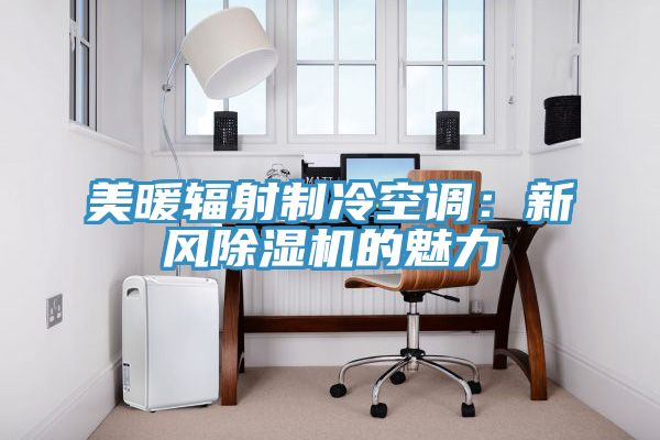 美暖輻射製冷空調：新風榴莲视频官网APP的魅力