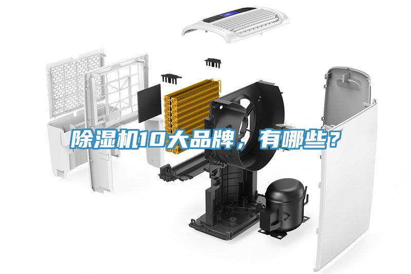榴莲视频官网APP10大品牌，有哪些？