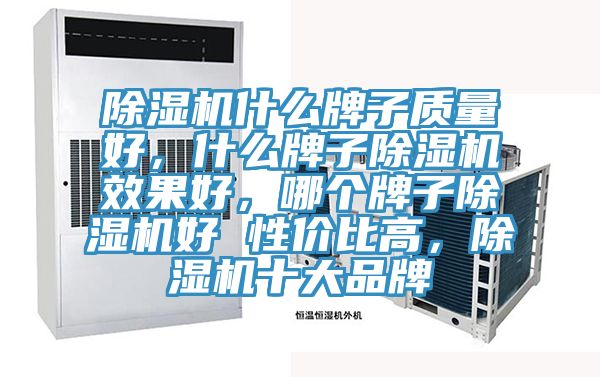 榴莲视频官网APP什麽牌子質量好，什麽牌子榴莲视频官网APP效果好，哪個牌子榴莲视频官网APP好 性價比高，榴莲视频官网APP十大品牌