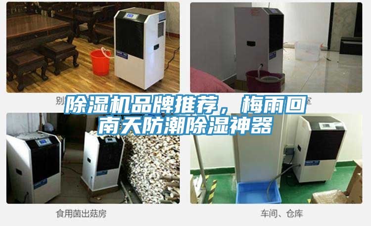 榴莲视频官网APP品牌推薦，梅雨回南天防潮除濕神器