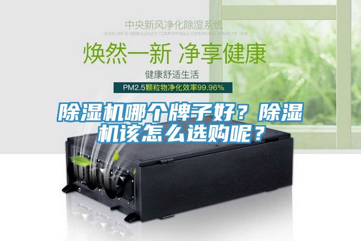 榴莲视频官网APP哪個牌子好？榴莲视频官网APP該怎麽選購呢？