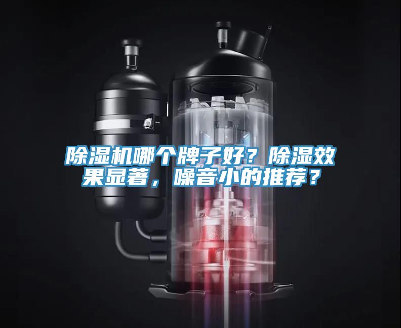 榴莲视频官网APP哪個牌子好？除濕效果顯著，噪音小的推薦？